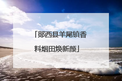 郧西县羊尾镇香料烟田焕新颜