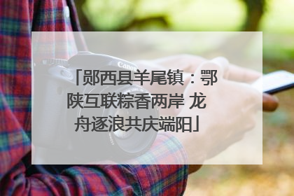 郧西县羊尾镇：鄂陕互联粽香两岸 龙舟逐浪共庆端阳