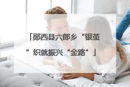 郧西县六郎乡“银茧”织就振兴“金路”