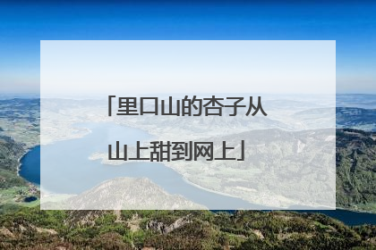 里口山的杏子从山上甜到网上