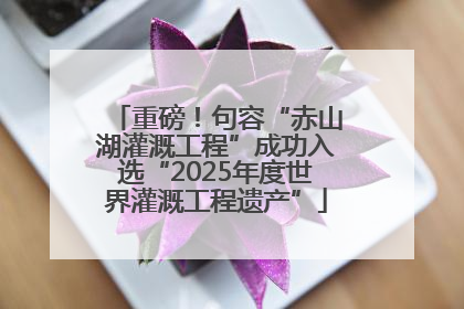 重磅！句容“赤山湖灌溉工程”成功入选“2025年度世界灌溉工程遗产”