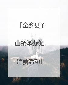 金乡县羊山镇举办促消费活动