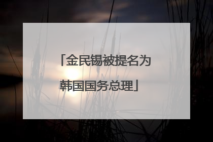 金民锡被提名为韩国国务总理
