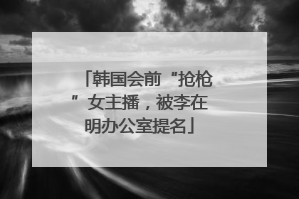 韩国会前“抢枪”女主播，被李在明办公室提名