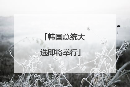 韩国总统大选即将举行