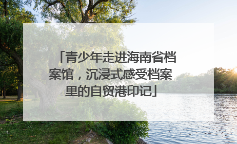 青少年走进海南省档案馆，沉浸式感受档案里的自贸港印记