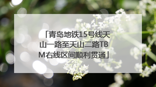 青岛地铁15号线天山一路至天山二路TBM右线区间顺利贯通