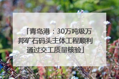 青岛港：30万吨级万邦矿石码头主体工程顺利通过交工质量核验