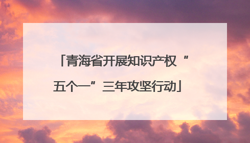 青海省开展知识产权“五个一”三年攻坚行动
