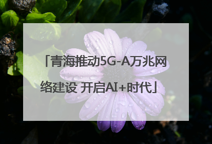 青海推动5G-A万兆网络建设 开启AI+时代