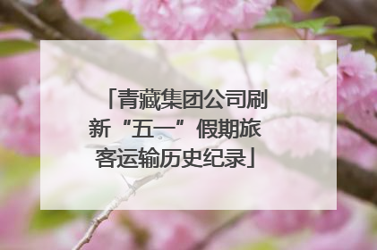青藏集团公司刷新“五一”假期旅客运输历史纪录