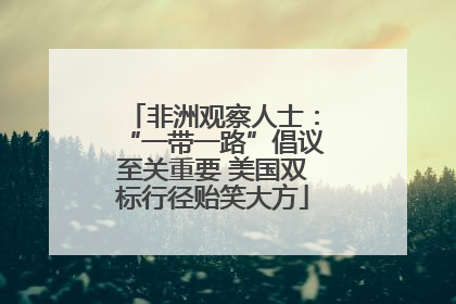 非洲观察人士：“一带一路”倡议至关重要 美国双标行径贻笑大方