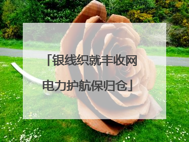 银线织就丰收网 电力护航保归仓