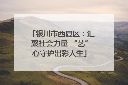 银川市西夏区：汇聚社会力量 “艺”心守护出彩人生