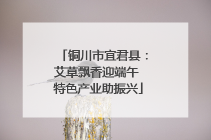 铜川市宜君县：艾草飘香迎端午 特色产业助振兴