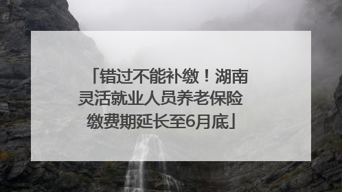 错过不能补缴！湖南灵活就业人员养老保险缴费期延长至6月底