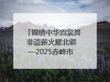 锦绣中华霓裳舞 非遗薪火耀北疆—2025赤峰市“文化和自然遗产日”非遗宣传展示活动纪实