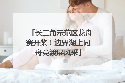 长三角示范区龙舟赛开桨！边界湖上同舟竞渡展风采