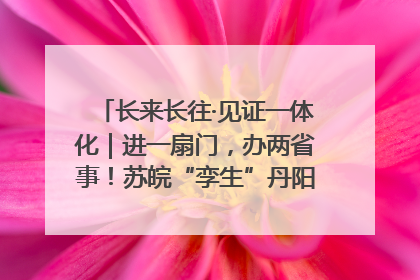 长来长往·见证一体化｜进一扇门，办两省事！苏皖“孪生”丹阳如何做到的？