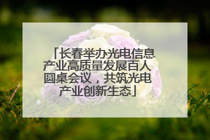 长春举办光电信息产业高质量发展百人圆桌会议，共筑光电产业创新生态