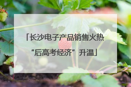 长沙电子产品销售火热 “后高考经济”升温