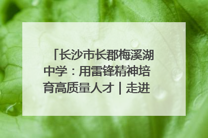 长沙市长郡梅溪湖中学：用雷锋精神培育高质量人才｜走进新时代“雷锋传人 长沙榜样”