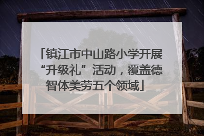 镇江市中山路小学开展“升级礼”活动，覆盖德智体美劳五个领域