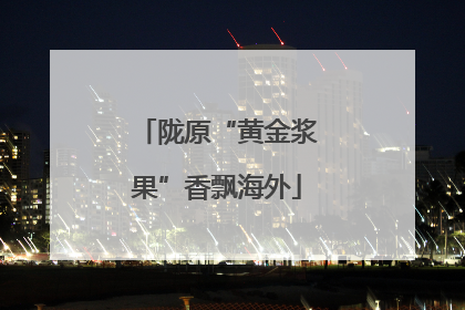 陇原“黄金浆果”香飘海外