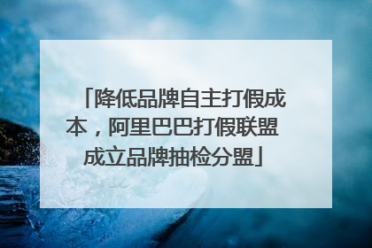 降低品牌自主打假成本，阿里巴巴打假联盟成立品牌抽检分盟