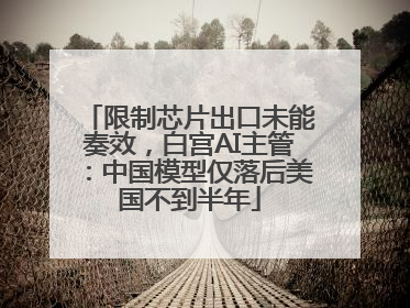 限制芯片出口未能奏效，白宫AI主管：中国模型仅落后美国不到半年
