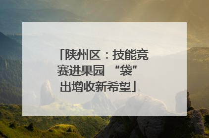陕州区：技能竞赛进果园 “袋”出增收新希望