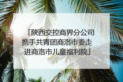 陕西交控商界分公司携手共青团商洛市委走进商洛市儿童福利院