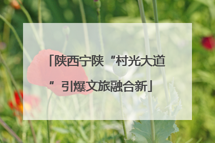 陕西宁陕“村光大道”引爆文旅融合新