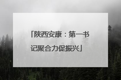 陕西安康：第一书记聚合力促振兴