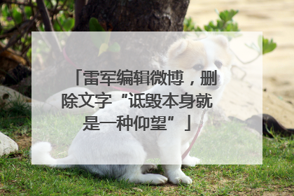 雷军编辑微博，删除文字“诋毁本身就是一种仰望”