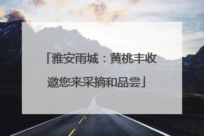 雅安雨城：黄桃丰收 邀您来采摘和品尝