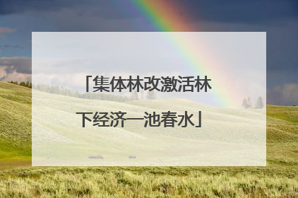集体林改激活林下经济一池春水