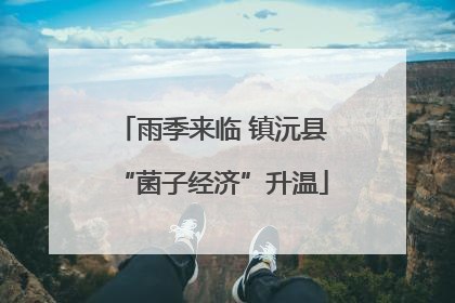 雨季来临 镇沅县“菌子经济”升温