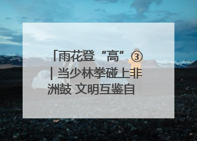雨花登“高”③｜当少林拳碰上非洲鼓 文明互鉴自有动人韵律