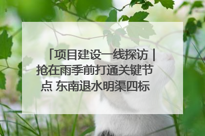 项目建设一线探访｜抢在雨季前打通关键节点 东南退水明渠四标段项目顺利完工