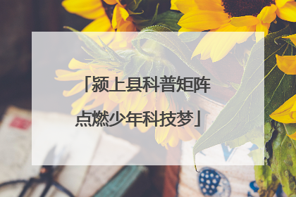 颍上县科普矩阵点燃少年科技梦