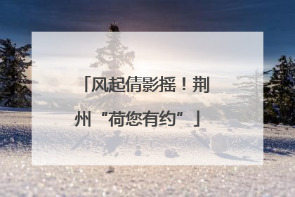 风起倩影摇！荆州“荷您有约”
