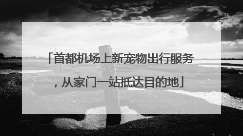 首都机场上新宠物出行服务，从家门一站抵达目的地