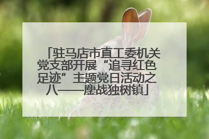 驻马店市直工委机关党支部开展“追寻红色足迹”主题党日活动之八——鏖战独树镇