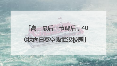 高三最后一节课后，400株向日葵空降武汉校园