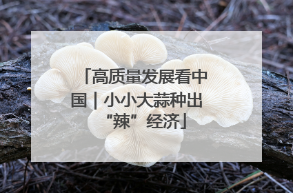 高质量发展看中国｜小小大蒜种出“辣”经济
