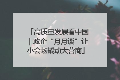 高质量发展看中国｜政企“月月谈”让小会场撬动大营商