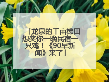 龙泉的千亩梯田想奖你一晚民宿一只鸡！《90早新闻》来了