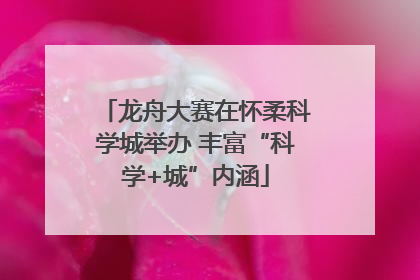 龙舟大赛在怀柔科学城举办 丰富“科学+城”内涵