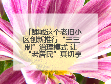 鲤城这个老旧小区创新推行“三三制”治理模式 让“老居民”真切享受到“新生活”